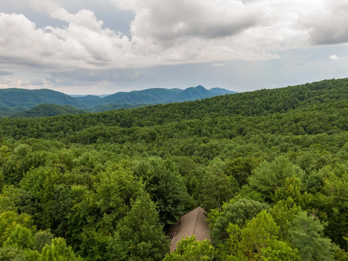 The image captures rolling hills and lush greenery under a cloudy sky, evoking the natural beauty of the Blue Ridge. Ideal for illustrating nearby trails and outdoor exploration, it connects the property to the wider landscape guests can experience with their pets.