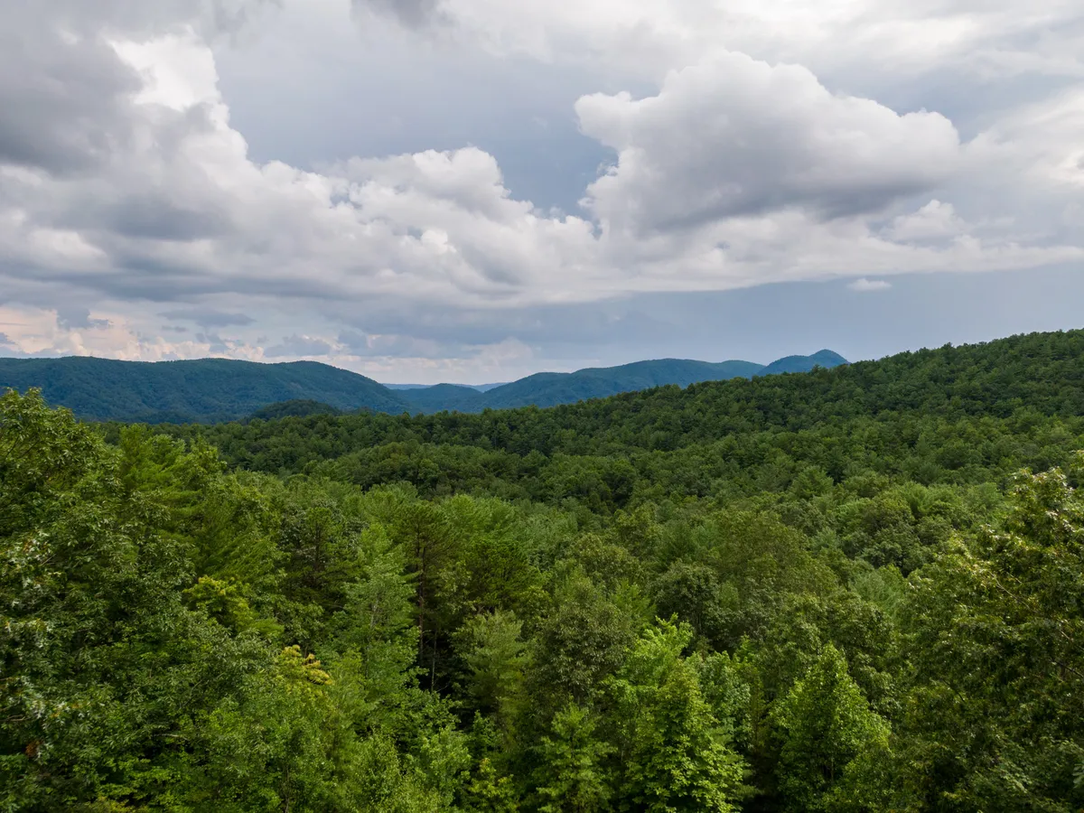 A sweeping view over lush green forests and distant blue-hued mountains under a cloudy sky. The landscape looks inviting for hiking, birdwatching, or simply absorbing the serenity of nature.